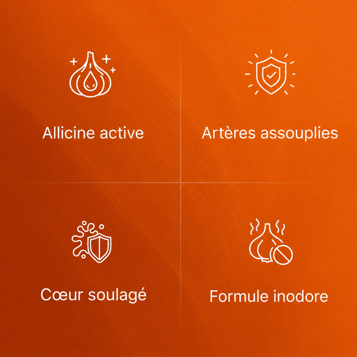 extrait d'ail en gélules