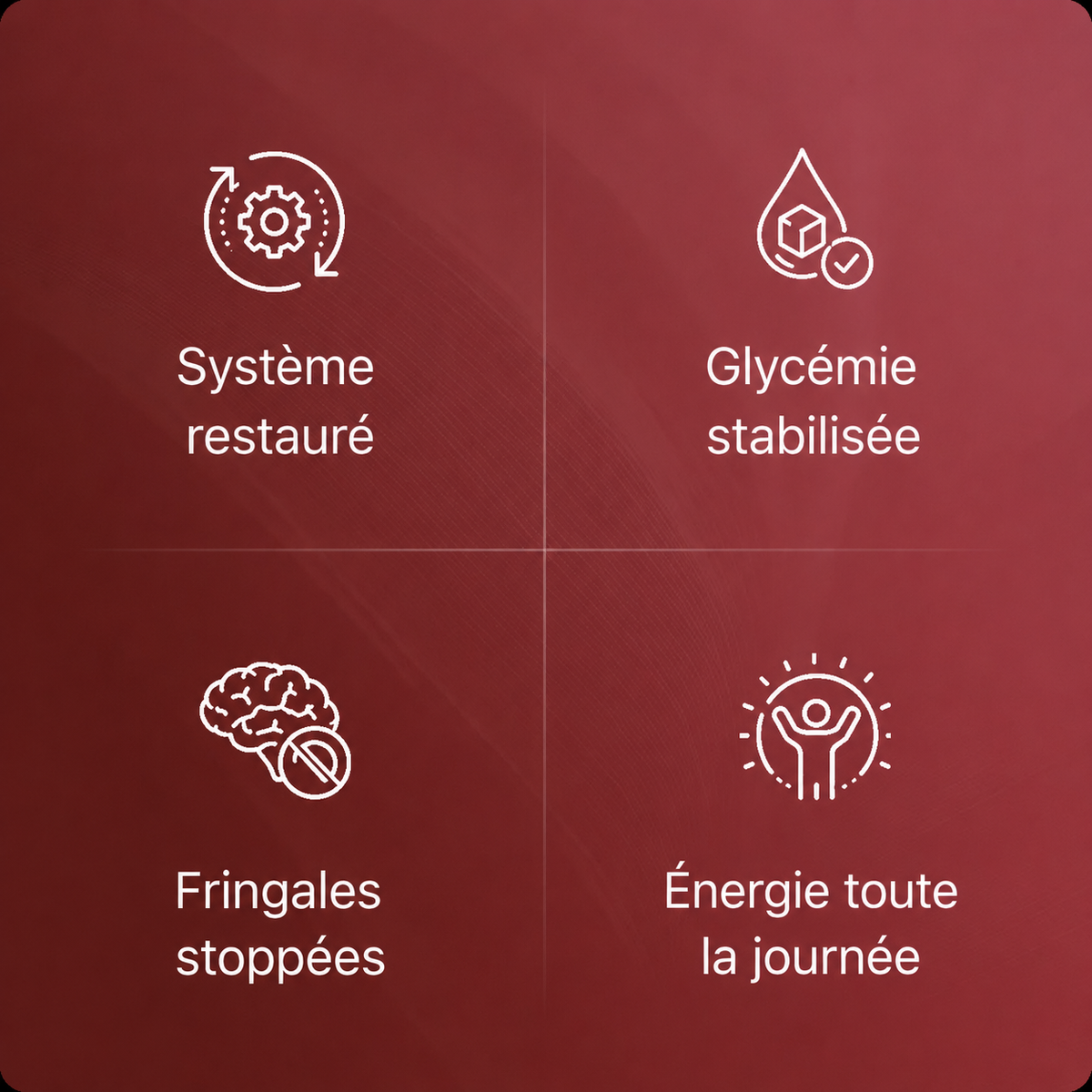 Extrait de grenade bio en gélules