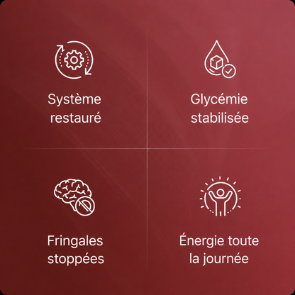 Extrait de grenade bio en gélules