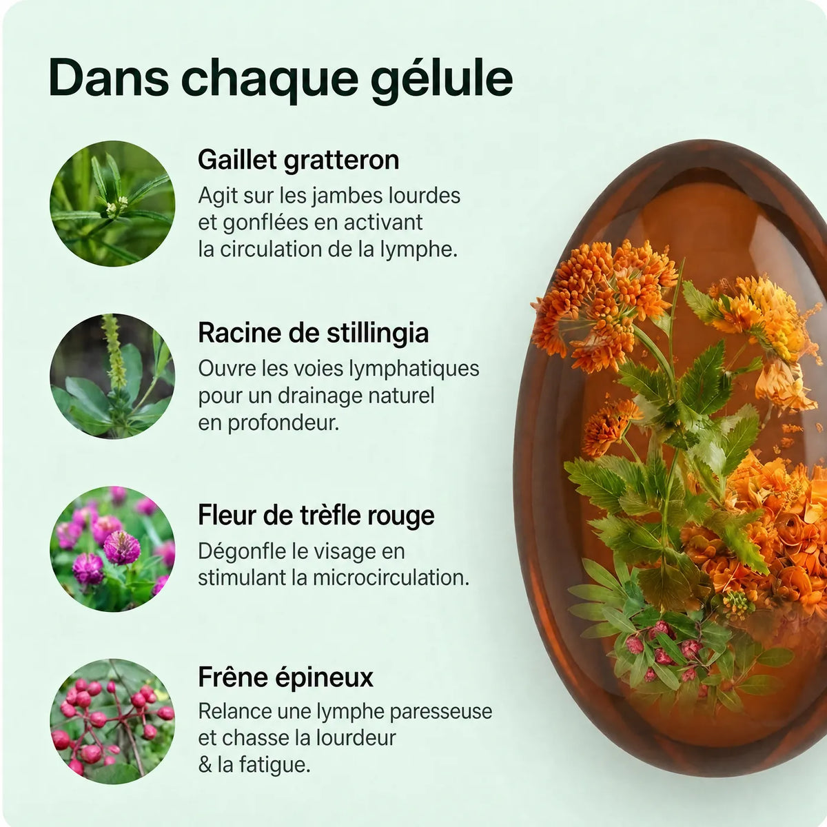Rubéa® Drainage lymphatique en gélules